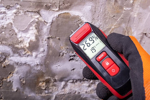 Best Fast Mold Removal  in Ruston, WA