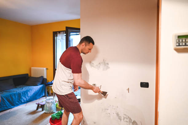 Best Mold Testing and Removal  in Ruston, WA